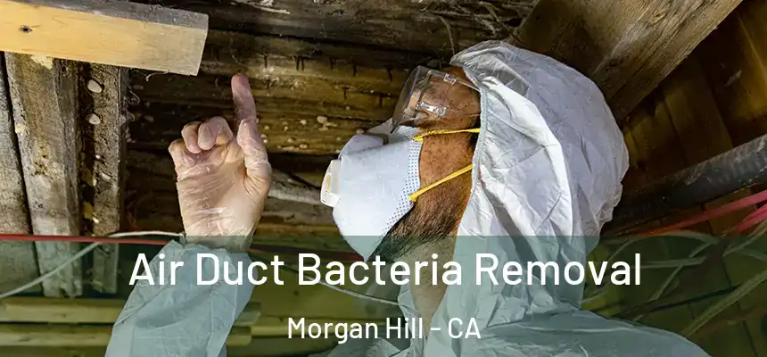  Air Duct Bacteria Removal Morgan Hill - CA