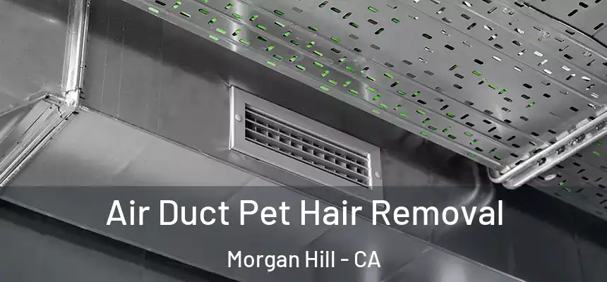 Air Duct Pet Hair Removal Morgan Hill - CA