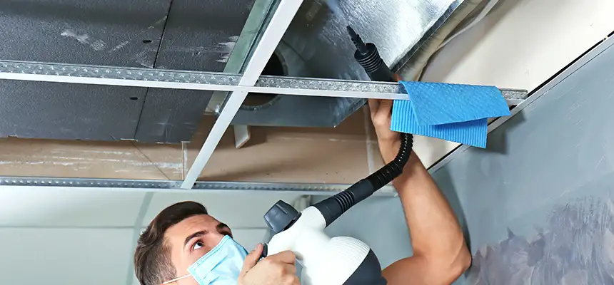 Our Air Duct Rodent Removal Services in Morgan Hill, CA