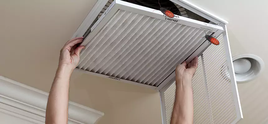 Our Insect Removal from Air Ducts Services in Morgan Hill, CA