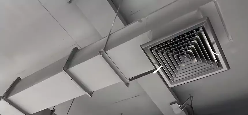 Our Rodent Droppings In Vents Services in Morgan Hill, CA