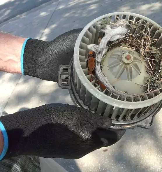 About Air Duct Mice Removal in Morgan Hill, CA